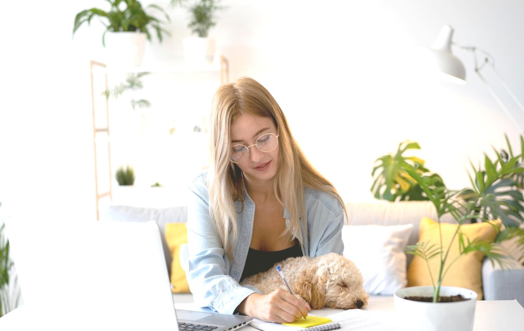 Interaktive Gruppenarbeit zu Finanzthemen